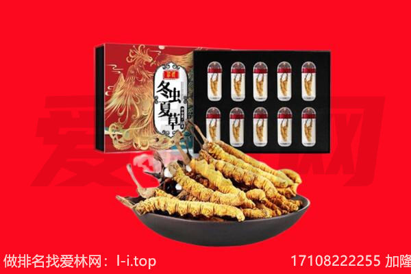 汉中市勉县回收虫草.jpg